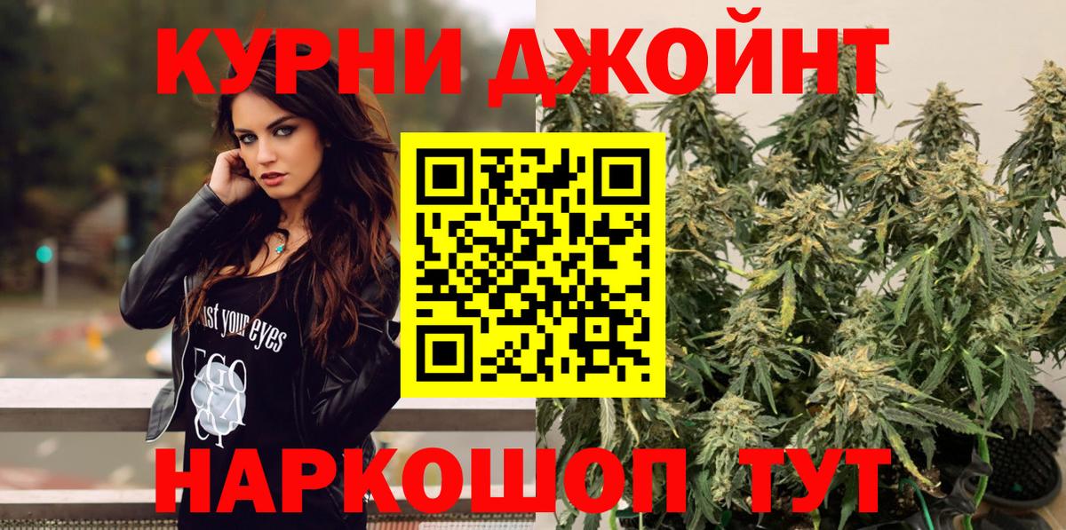 Канабис ГИДРОПОН  Канабис MAZAR  Каннабис сатива  Каспийск  Вход с VPN  МАРИХУАНА семена 